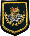 AIRFORCE