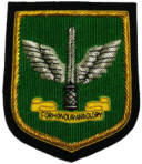 Commando