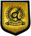 Alpha Wing