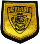 Charlie Wing