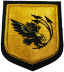 Air Wing
