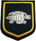 TKD