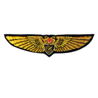 AWO Wing