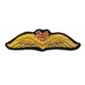 New UAV Wing Badge