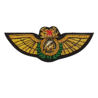 AFE Wing