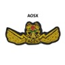 AOSX Wing