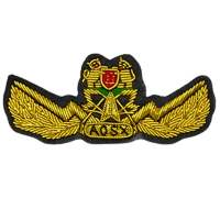AOSX Wing