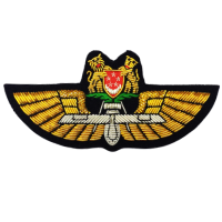 UAV Wing
