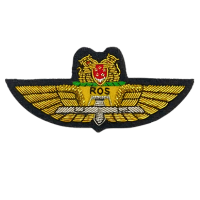 ROS Wing