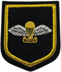 RIGGER