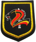 2 SIR