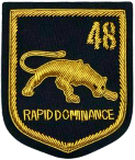 48 SAR