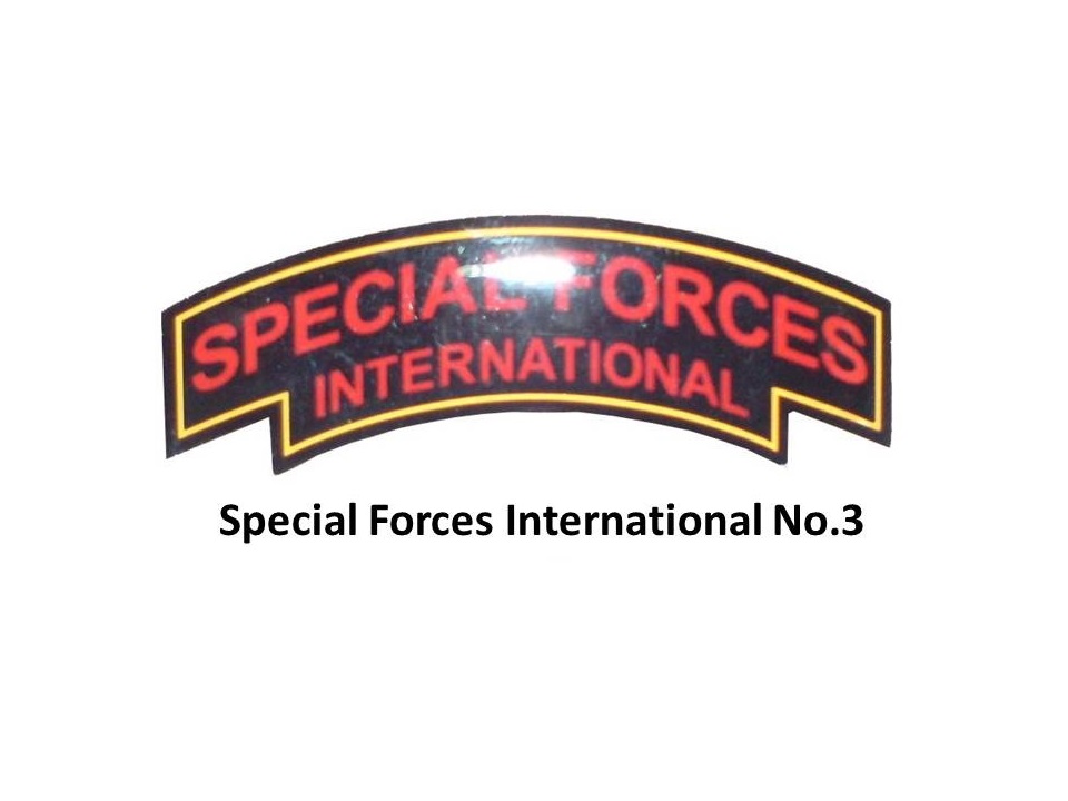 Special Forces International Badges