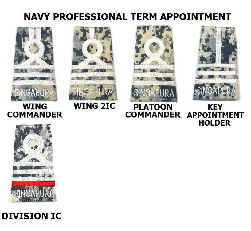 No 4 Cadet Pro-Term Appointment Ranks (Navy) #1518-3B