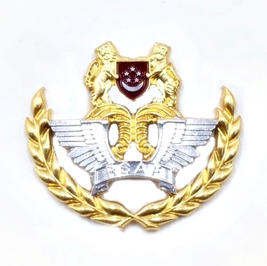 Airforce Beret Crest #1566