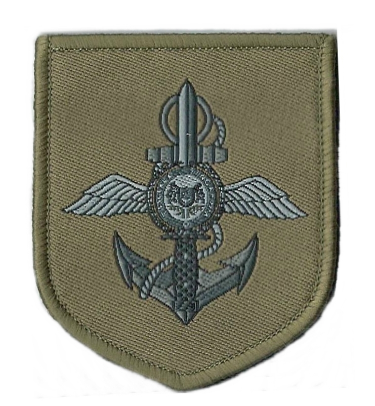 BADGE,IDENTIFICATION:FORMATION JOINT FM-263