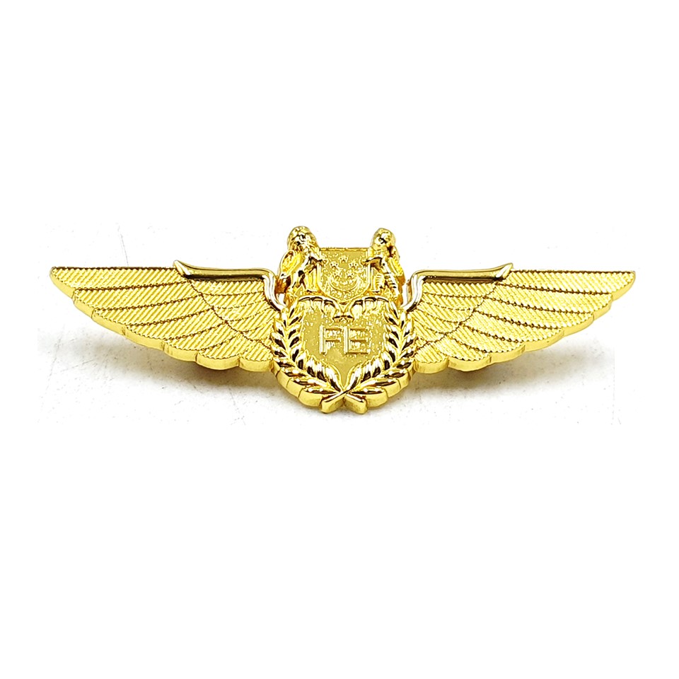 FE Wing Gold Pin