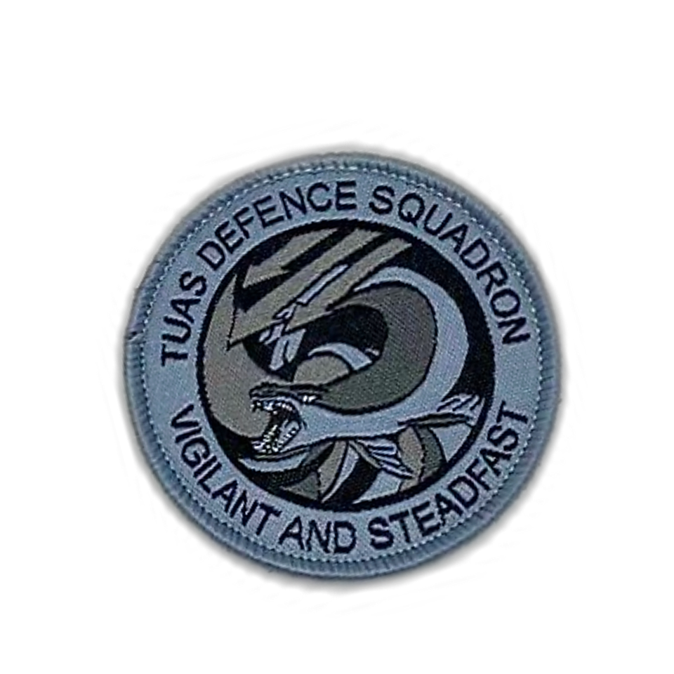 PATCH,TUAS DEFENCE SQUADRON D&G1746-TDS