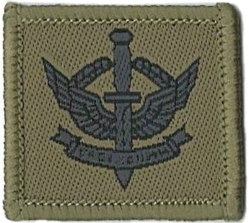 BADGE,ARMS GUARDS AR-142 