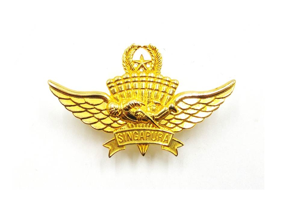 BADGE,FREEFALL GOLD MILITARY #3 D&G1539-GM3