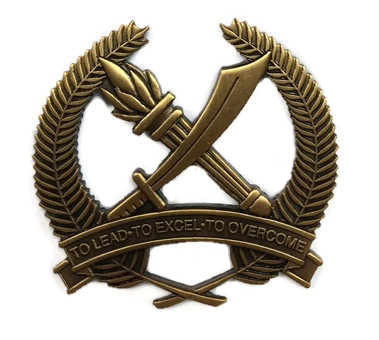 OCS Cap Badge #85