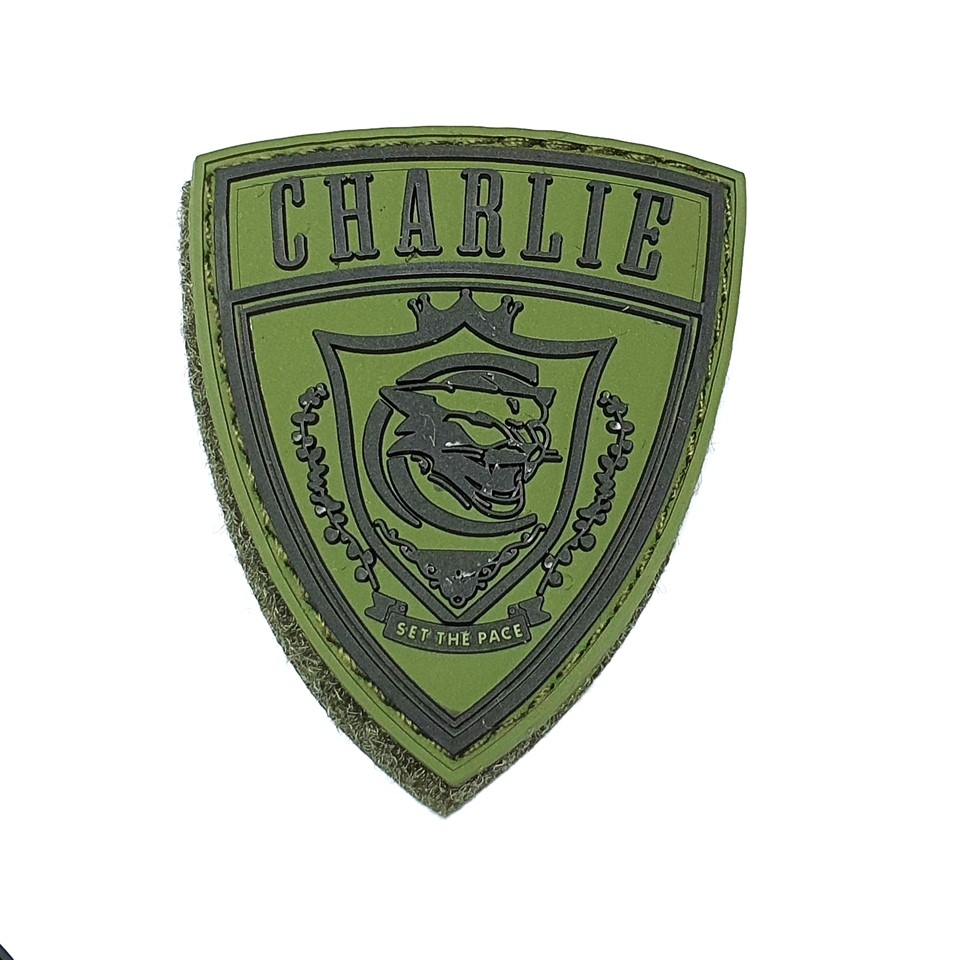 PATCH,CHARLIE WING RUBBER GREEN SMALL D&G1671-CW