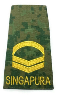 RANK,NO.4 CADET OUTFIELD RUNNER (ARMY) YELLOW D&G1517-Y-RUNNER