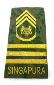 RANK,NO.4 CADET PRO TERM SCH SGT MAJOR (ARMY) YELLOW D&G1517-3Y-MWO