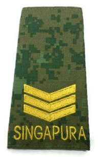 RANK,NO.4 CADET OUTFIELD SECTION COMD COMMADER (ARMY) YELLOW D&G1517-Y-3SG