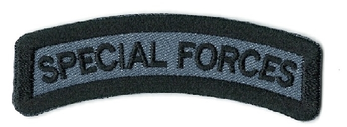 BADGE,SPECIAL FORCES (NAVY/AIRFORCE)