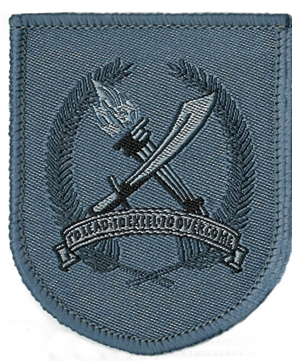 Safti MI Formation Badge (Airforce) #68352