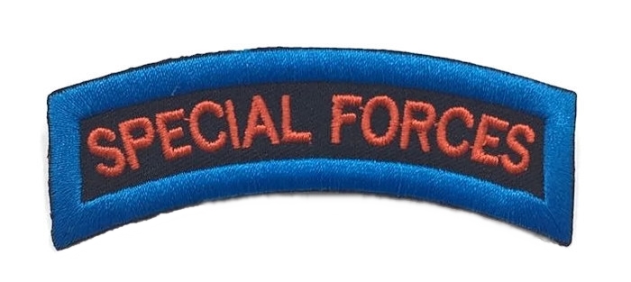 BADGE,SPECIAL FORCES NO.1/3 WITH PIN